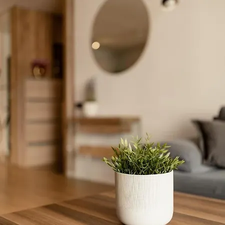 Nest Mirror Apartment *