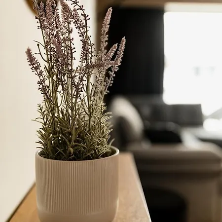 Nest Mirror Apartment *