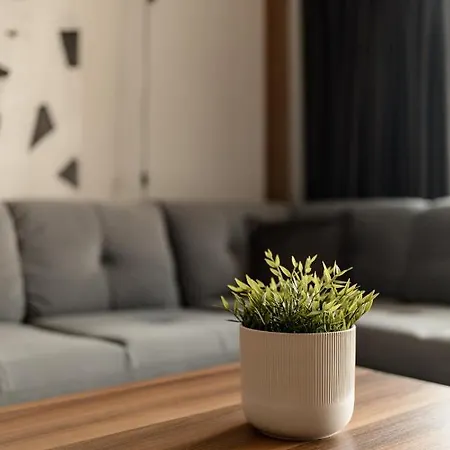 Apartment Nest Mirror *