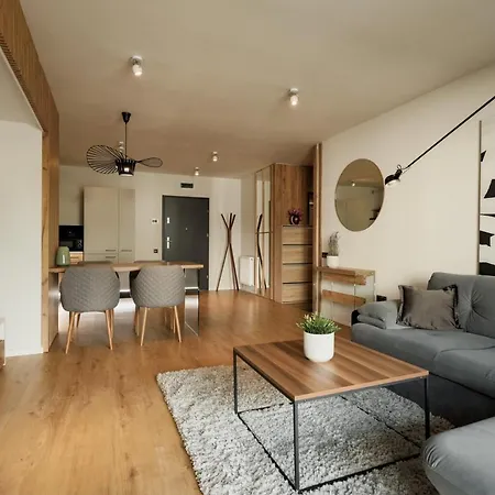 Nest Mirror Apartment *