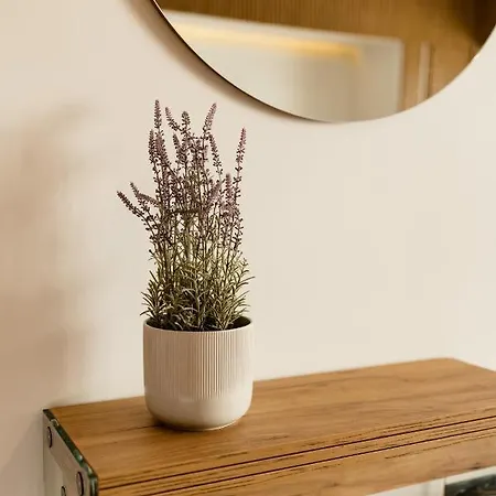 Nest Mirror Cluj-Napoca